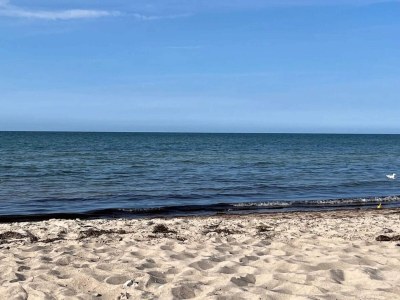 Holiday house Luxury Retreat with Pool - By Traum Ferienwohnungen - Outdoor photo 47