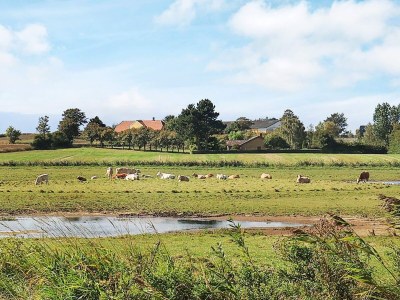 Holiday house Charming Renovated Cottage - By Traum Ferienwohnungen - Outdoor photo 8