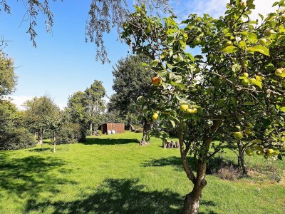 Holiday house Charming Renovated Cottage - By Traum Ferienwohnungen - Outdoor photo 27