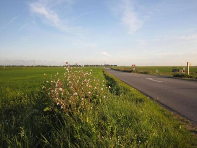 Holiday house Hütte in Le Bourg-Dun nahe dem Meer - Environment photo 28