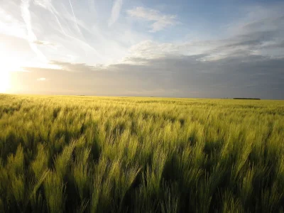 Holiday house Hütte in Le Bourg-Dun nahe dem Meer - Environment photo 32