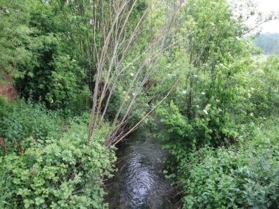 Holiday house Hütte in Le Bourg-Dun nahe dem Meer - Environment photo 36