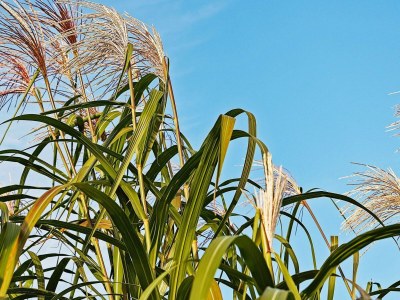 Holiday house 24 person holiday home in Hasselberg - Outdoor photo 29