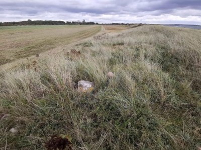 Holiday house Seaside Retreat in Lolland - By Traum Ferienwohnungen - Outdoor photo 12