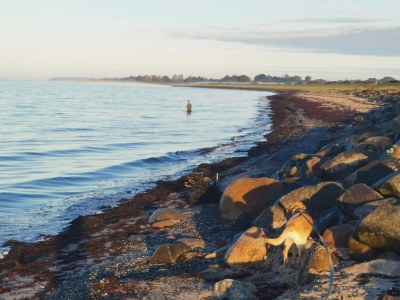 Holiday house Seaside Retreat in Lolland - By Traum Ferienwohnungen - Outdoor photo 20