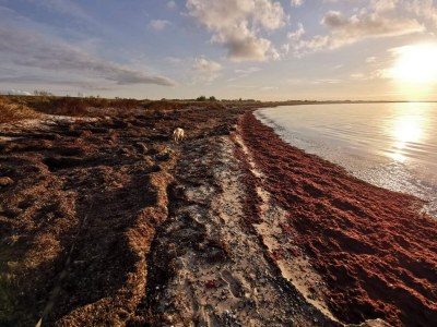 Holiday house Seaside Retreat in Lolland - By Traum Ferienwohnungen - Outdoor photo 24