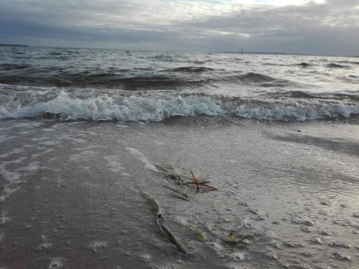 Holiday house 5 Personen Ferienhaus in Ebeltoft-By Traum - Outdoor photo 17