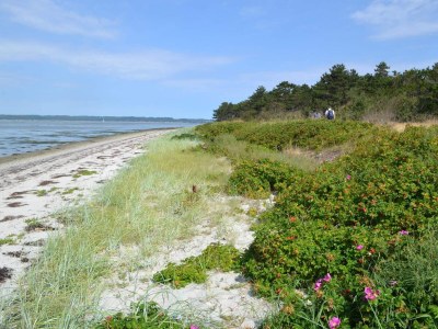Holiday house 5 Personen Ferienhaus in Ebeltoft-By Traum - Outdoor photo 35