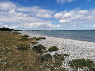 Holiday house 5 Personen Ferienhaus in Ebeltoft-By Traum - Outdoor photo 36