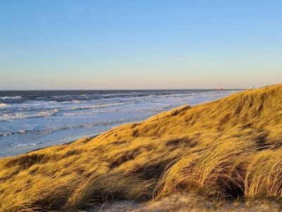 Holiday house 12 Personen Ferienhaus in Hirtshals-By Traum - Outdoor photo 8