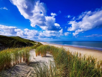 Holiday house 12 Personen Ferienhaus in Hirtshals-By Traum - Outdoor photo 12