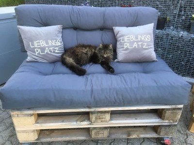 Holiday apartment Holiday on the Farm - Outdoor photo 7