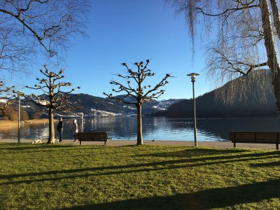 Holiday apartment Holiday on the Farm - Environment photo 35