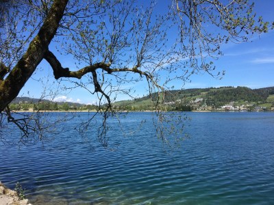 Holiday apartment Holiday on the Farm - Environment photo 38