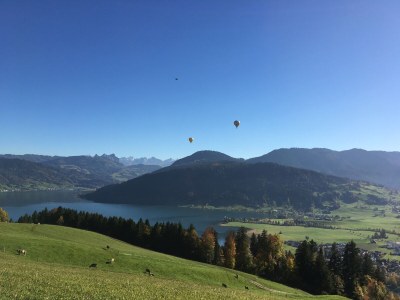 Holiday apartment Holiday on the Farm - Environment photo 43