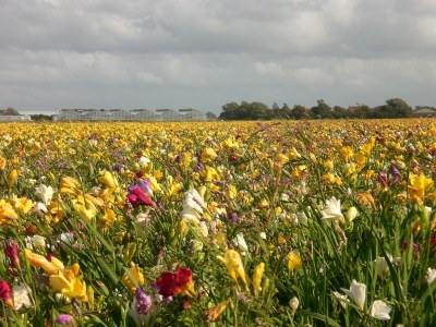 Holiday house Strandslag214 - Environment photo 15
