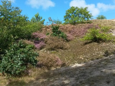 Holiday house Strandslag214 - Environment photo 18