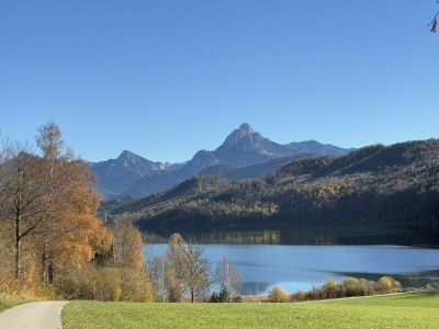 Holiday apartment Alpenliebe - Environment photo 26