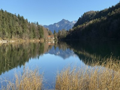 Holiday apartment Alpenliebe - Environment photo 30