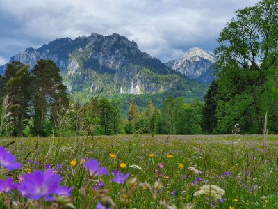 Holiday apartment Alpenliebe - Environment photo 31