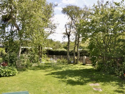 Holiday house Duinland 6 - Outdoor photo 3