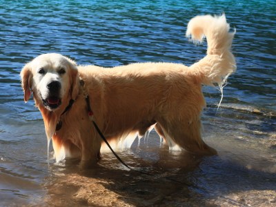 Holiday apartment In the Habjanic house - Outdoor photo 6