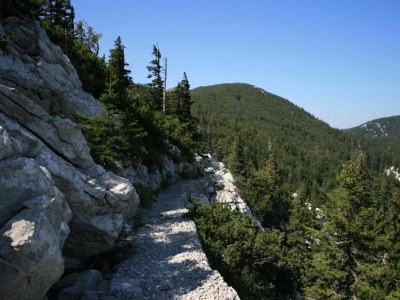 Holiday apartment In the Habjanic house - Environment photo 12