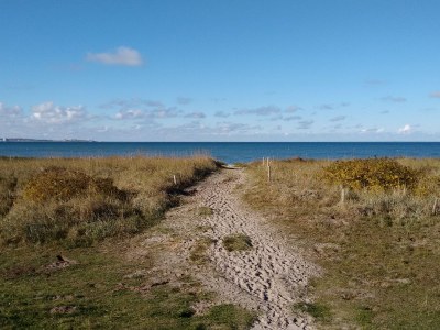 Holiday house Swedish-style house Am Kai 14i - Environment photo 21