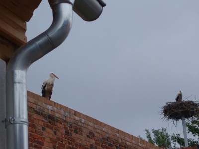 Holiday house Schrot-Kontor - Outdoor photo 3