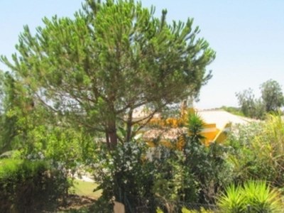 Holiday house Vivenda Vista Verde - Outdoor photo 10