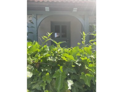 Holiday house Cosy Cottage. - Outdoor photo 2