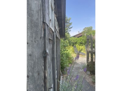 Holiday house Cosy Cottage. - Outdoor photo 6