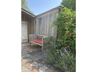 Holiday house Cosy Cottage. - Outdoor photo 11