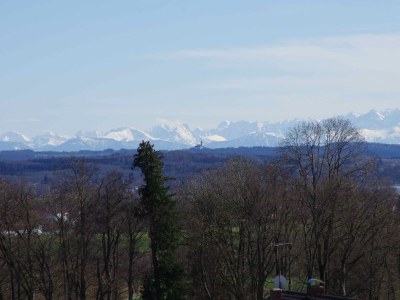 Holiday house Cosy Cottage. - Environment photo 36