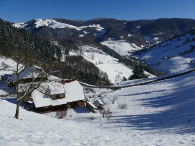 Holiday apartment Alexandra at the Gipfhof - Outdoor photo 3