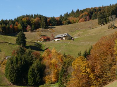 Holiday apartment Alexandra at the Gipfhof - Outdoor photo 9