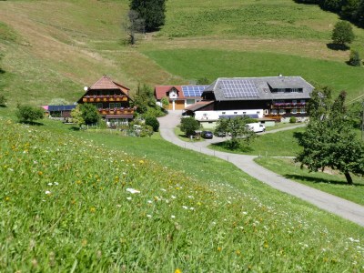 Holiday apartment Alexandra at the Gipfhof - Outdoor photo 11