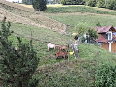 Holiday apartment Alexandra at the Gipfhof - Outdoor photo 15