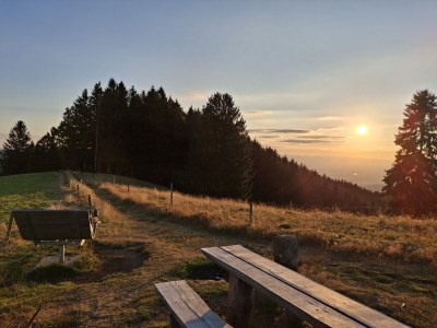 Holiday apartment Alexandra at the Gipfhof - Outdoor photo 16