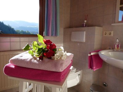 Holiday apartment Alexandra at the Gipfhof - Features photo 20