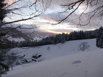 Holiday apartment Alexandra at the Gipfhof - Environment photo 26