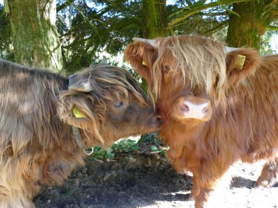 Holiday apartment Alexandra at the Gipfhof - Environment photo 29