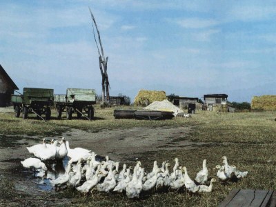 Apartment im Ferienhaus Burgenland 1 - Environment photo 23