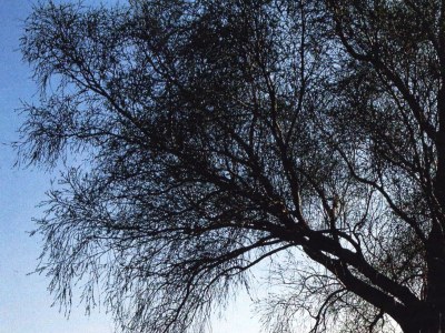 Apartment im Ferienhaus Burgenland 1 - Environment photo 24