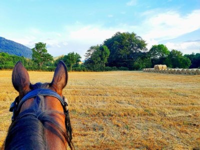 Chalet Gemütliches Chalet-Refugium in den Alpen - Environment photo 21