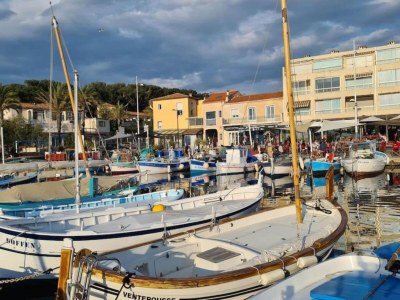 Holiday house Holiday Home in Carqueiranne by the Sea - Environment photo 31