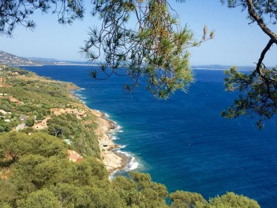 Holiday house Holiday Home in Carqueiranne by the Sea - Environment photo 34