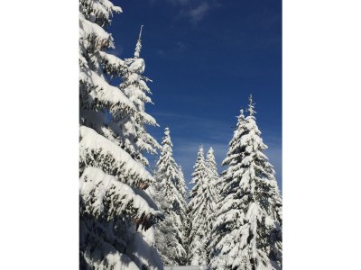 Holiday apartment Alp vacation house Julia - Environment photo 13