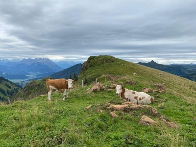 Holiday apartment Alp vacation house Julia - Environment photo 16