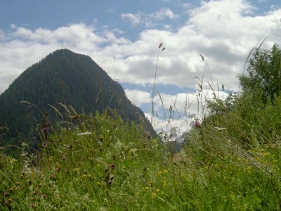 Holiday apartment Alp vacation house Julia - Environment photo 18